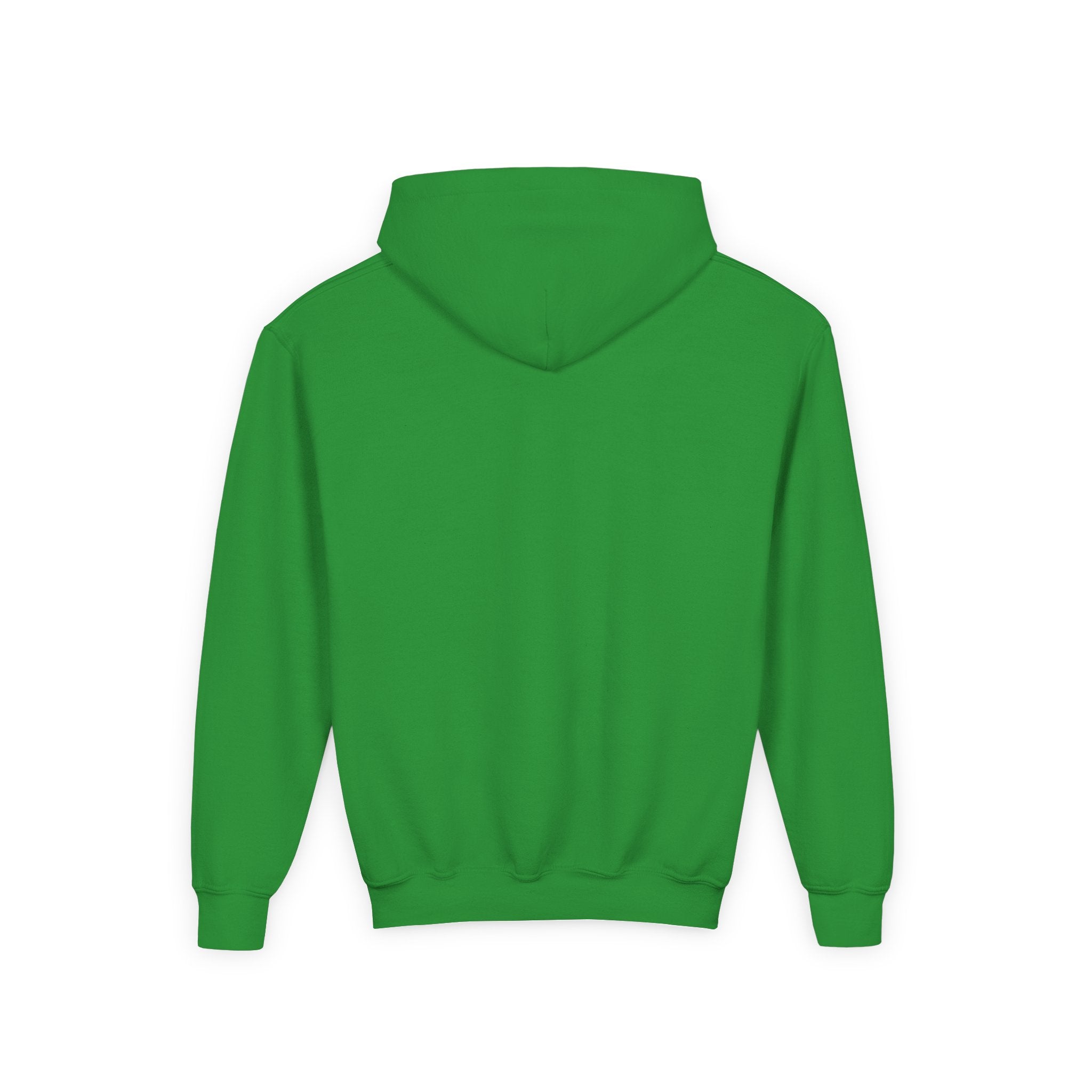 Youth Hoodie — 