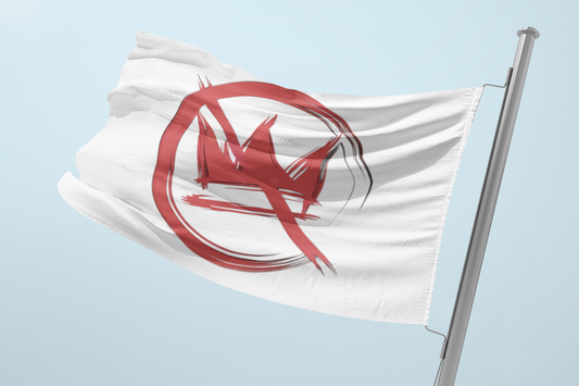 No Kings double sided flag